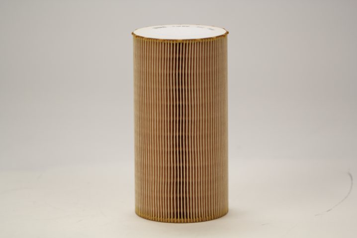 C 10 050 air filter element