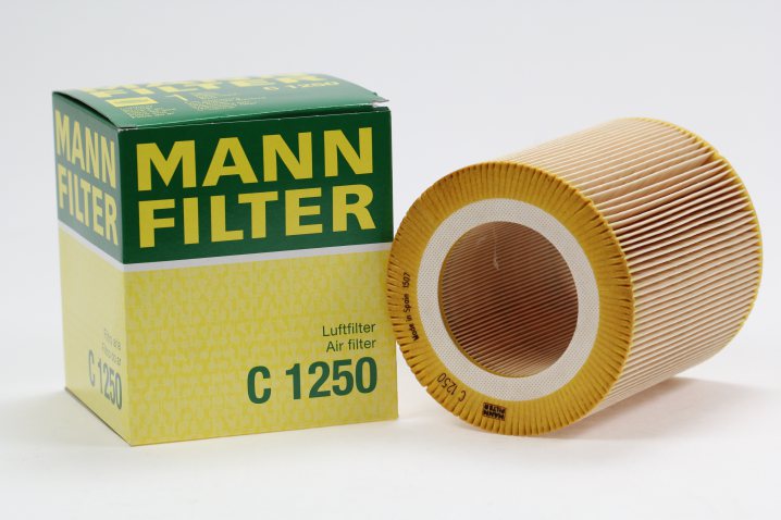 C 1250 Luftfilterelement