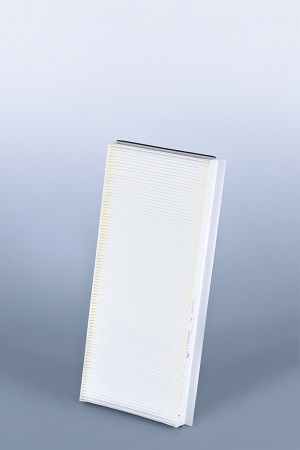 AF26174 Luftfilterelement