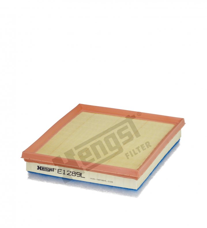 E1289L Luftfilterelement