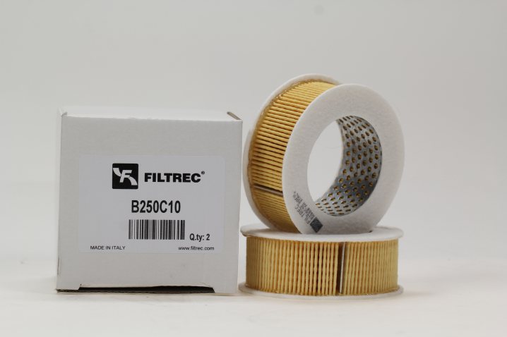 B250C10 air filter element