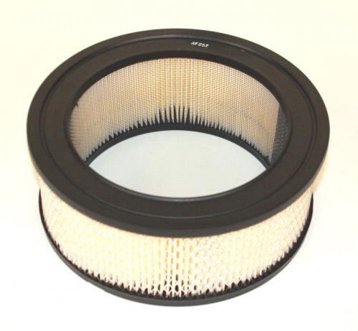 FLEETGUARD / CUMMINS FILTRATION AF257 air filter element