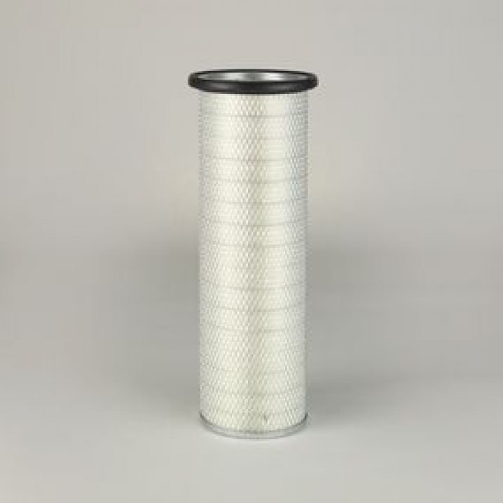 P118216 air filter element (secondary)