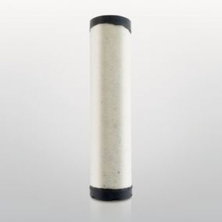 P780012 air filter element (secondary)