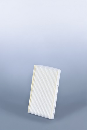 AF26213 Luftfilterelement