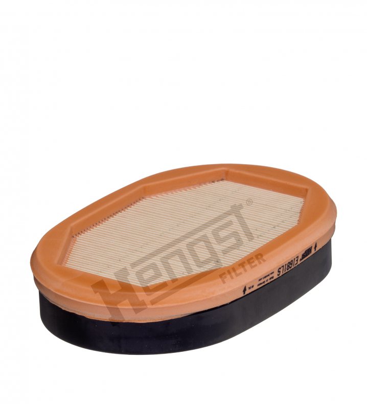 E1681LS air filter element