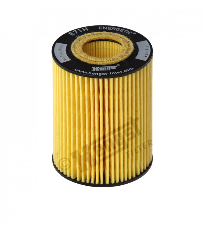 E71H D141 oil filter element