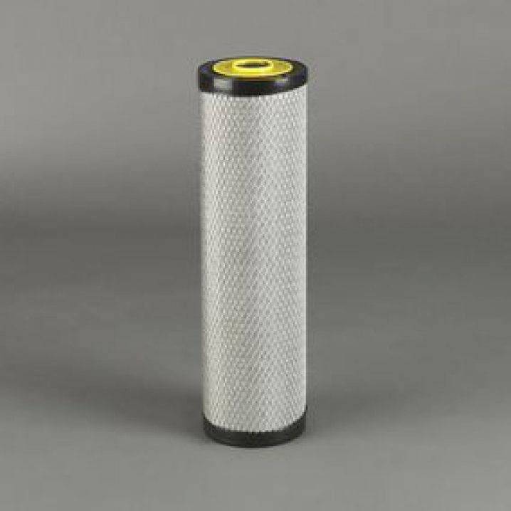 P780036 air filter element (secondary)