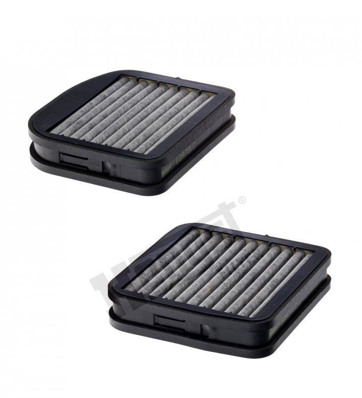 E2973LC-2 cabin air filter element